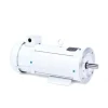Baldor CDPWD3310 .25Hp, 1750Rpm, Dc, 56C, 3320P, T - One-stop shop for professional tools and equipment.