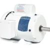 Baldor WDL3507 .75HP, 1725RPM, 1PH, 60HZ, 56, 3520L, TEFC, F1 - One-stop shop for professional tools and equipment.