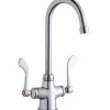 Elkay LK500GN05T6 Single Hole with Concealed Deck Faucet with 5& Gooseneck Spout 6& Wristblade Handles Chrome - One-stop shop for professional tools and equipment.