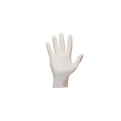 Shamrock 10113 - 10000 Series Latex Examination White Gloves, Powder-Free Textured, 5 Mil, Large, (10 Boxes of 100) - One-stop shop for professional tools and equipment.