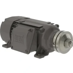 WEG 00336ES3ESA80SL 3HP,3600RPM,80S Frame,SAW-ARBOR (1 EA) - One-stop shop for professional tools and equipment.