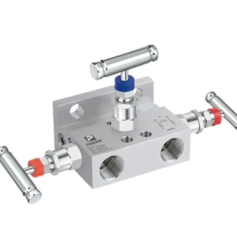 Winters Instruments MVA5SH2F Mva 5 - Handle Manifolds - One-stop shop for professional tools and equipment.