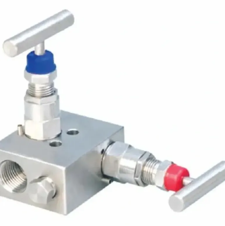 Winters Instruments MVA2SH2P Mva 2 Handle Manifolds - One-stop shop for professional tools and equipment.