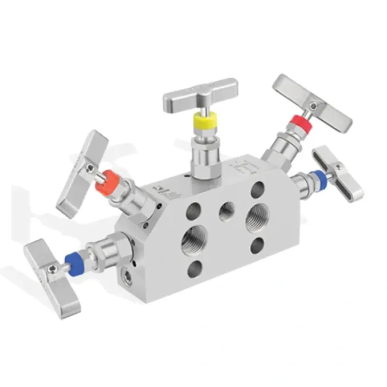 Winters Instruments MVA5SS2D Mva 5 - Handle Direct Mount Manifolds - One-stop shop for professional tools and equipment.